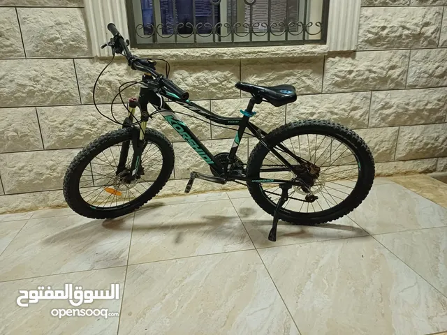 بسكليت كورشيد جبلي