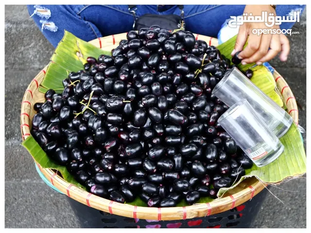 Kala Jamun