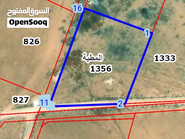 Farm Land for Sale in Amman Al-Muwaqqar