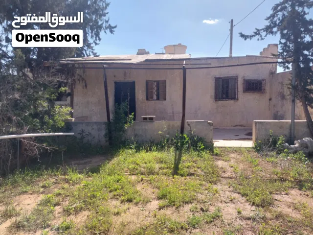 هكتار للبيع وادي الربيع
