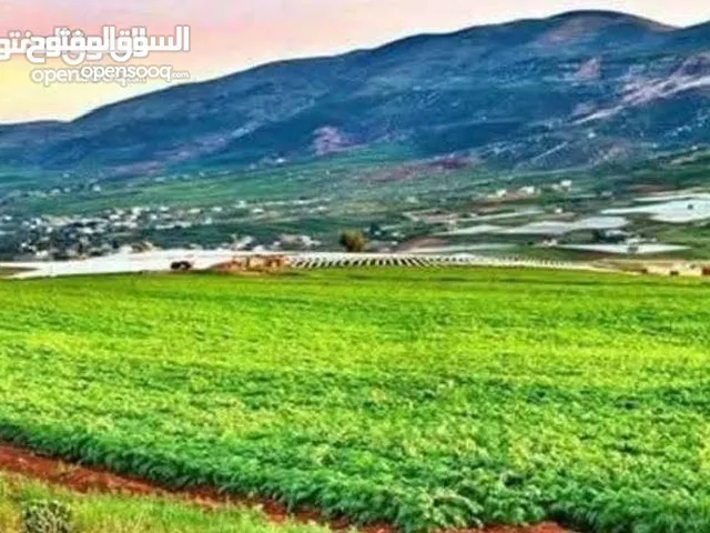 Mixed Use Land for Sale in Nablus Al Nassariya