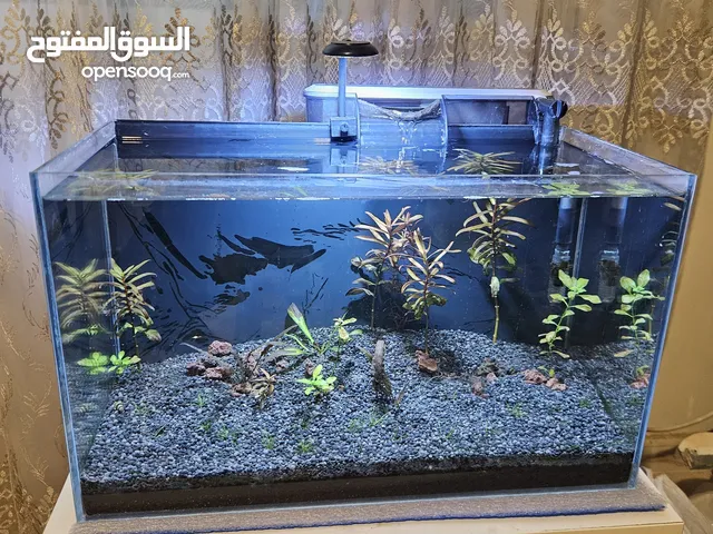 حوض سمك كريستال