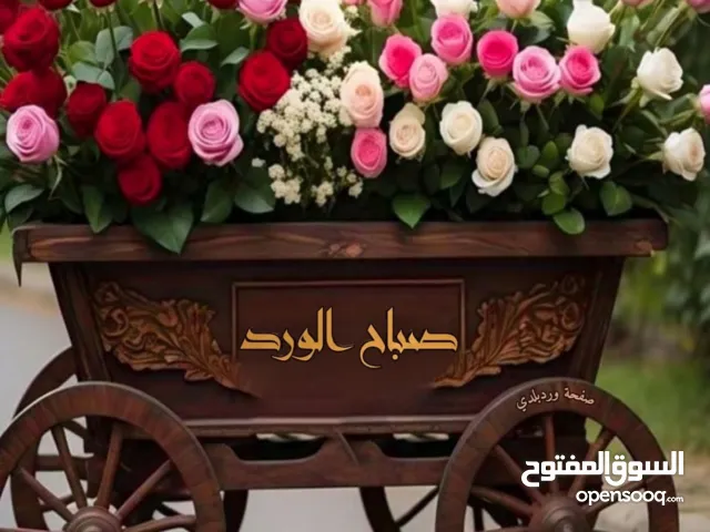 Sharp 2.5 - 2.9 Ton AC in Cairo