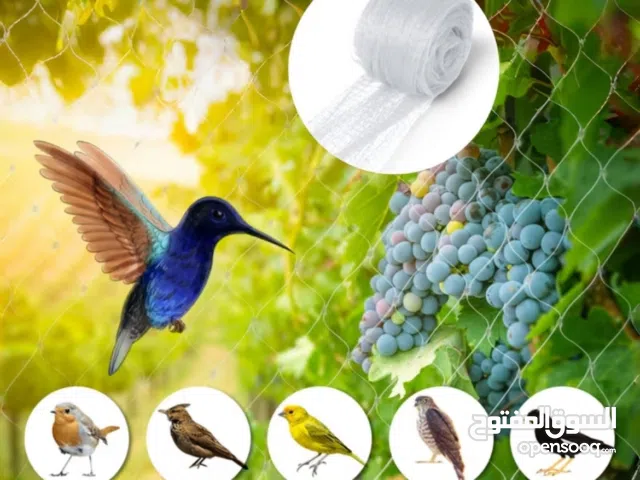 شبكة صيد حمام وطيور وحماية القطط