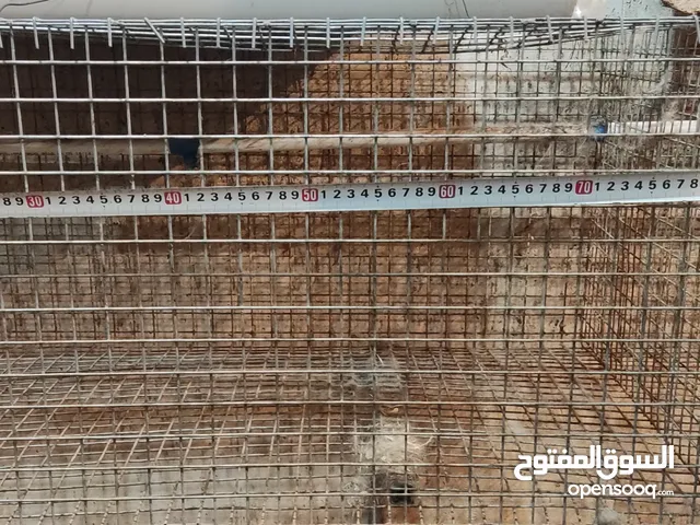اقفاص ارانب