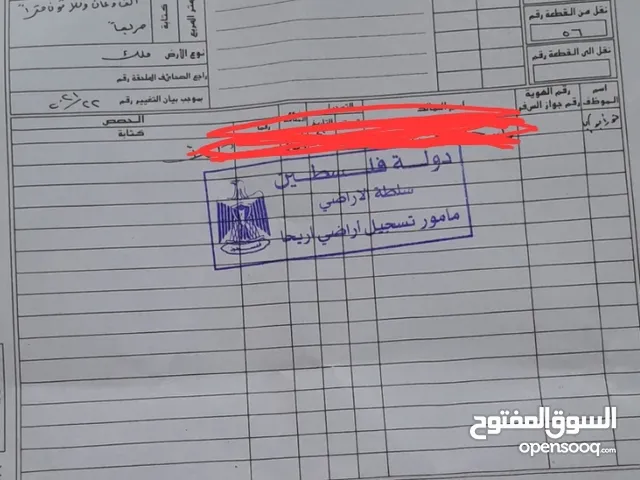 دنم و38 متر بشارع فلسطين