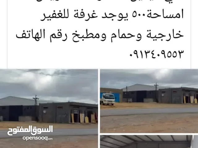 هنقر للإيجار في النجيله الزراعية