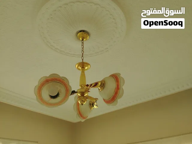 ثريه بحاله ممتازه