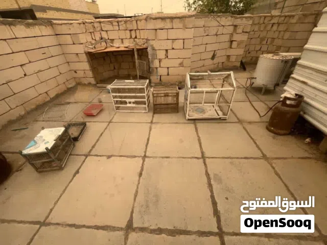 اقفاص بلابل طيور حب