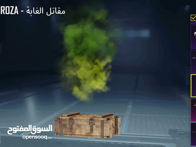 Pubg Accounts and Characters for Sale in Irbid