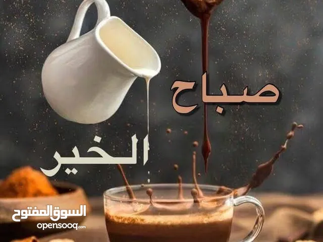 ارانب عدد 14