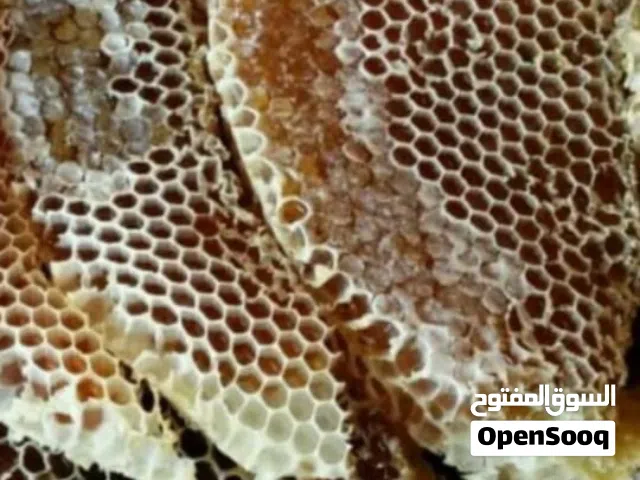 مناحل بروق الجزيرة لبيع منتجات العسل العماني