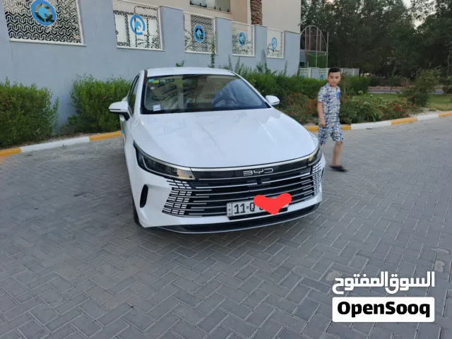 2025 بي واي دي ديستروير