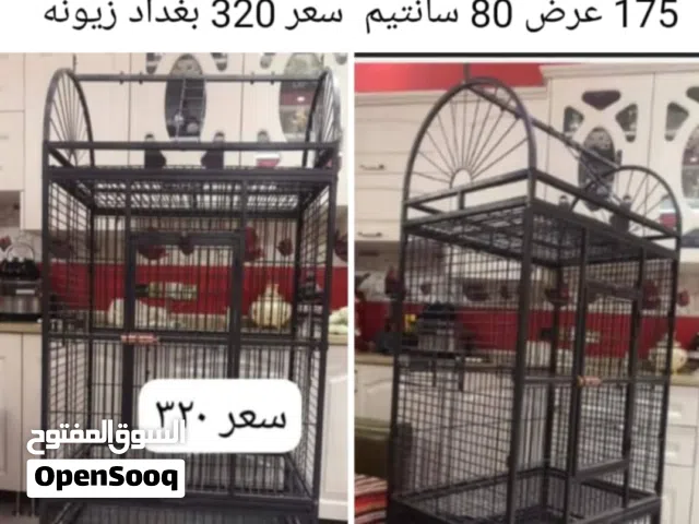 قفض مال ببغاء