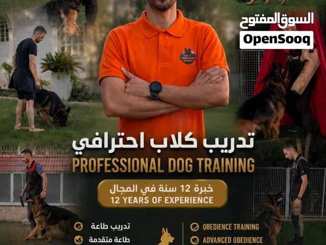 خدمة تدريب كلاب /Dog training service