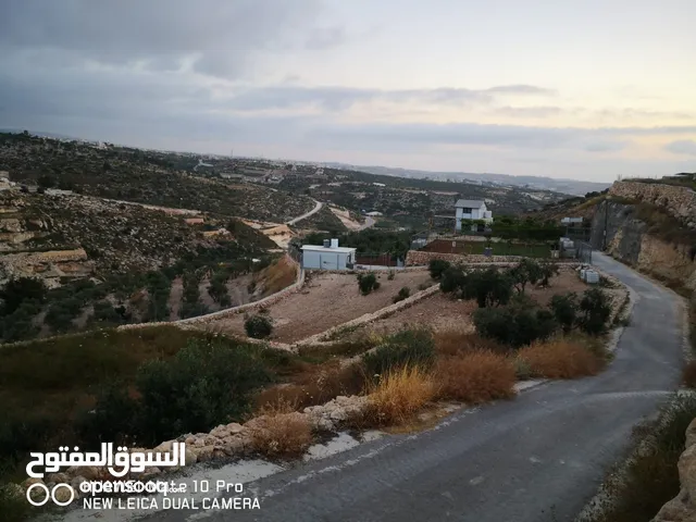 قطعة ارض مميزة في صوريف ابوشوك واصل كهرباء +زفتة (يمكن التبديل على شقة في مدينة الخليل)