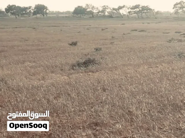 Residential Land for Sale in Tripoli Ain Zara