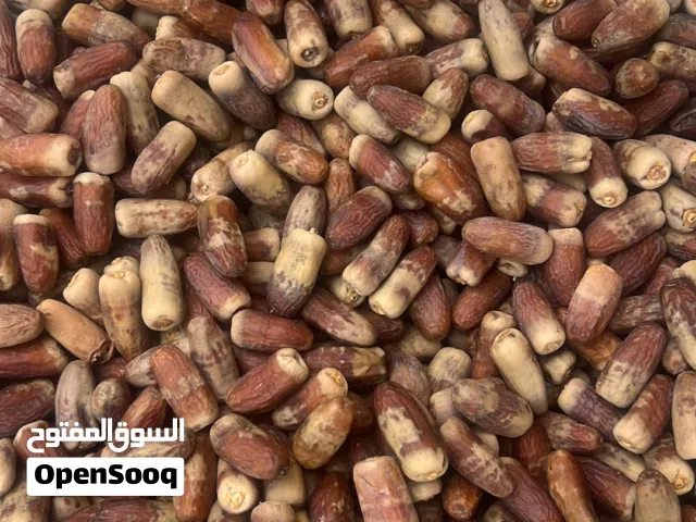 للبيع تمر نغال