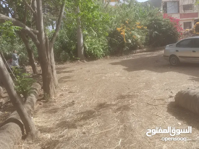 Farm Land for Sale in Cairo Other