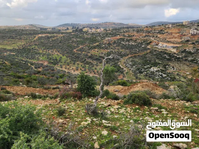 Mixed Use Land for Sale in Ramallah and Al-Bireh Kaubar