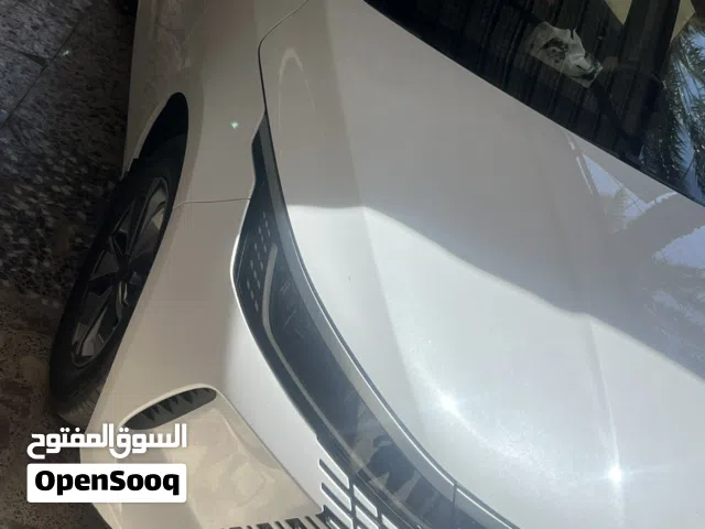 2025 بي واي دي ديستروير