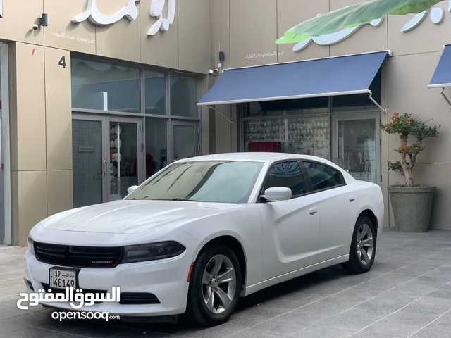New Dodge Charger in Kuwait City