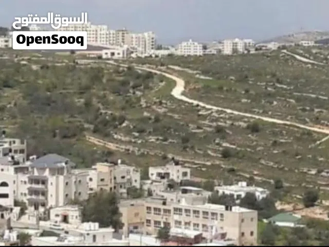 Residential Land for Sale in Ramallah and Al-Bireh Abu Qash