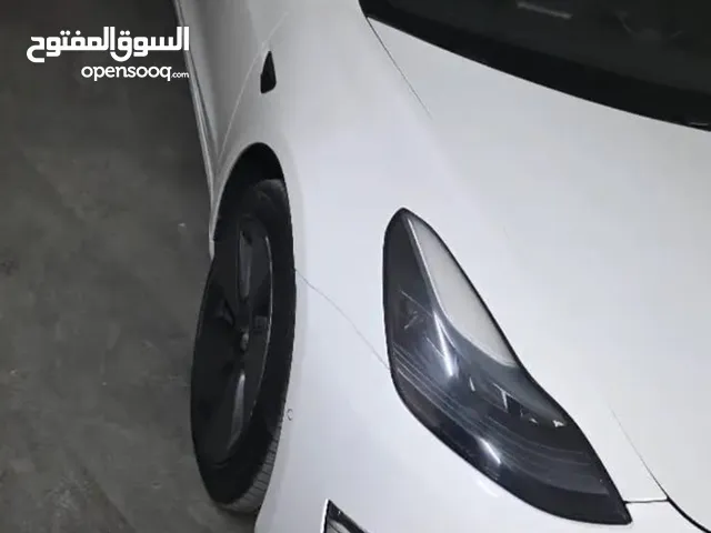 Tesla 3 autoscore(B)