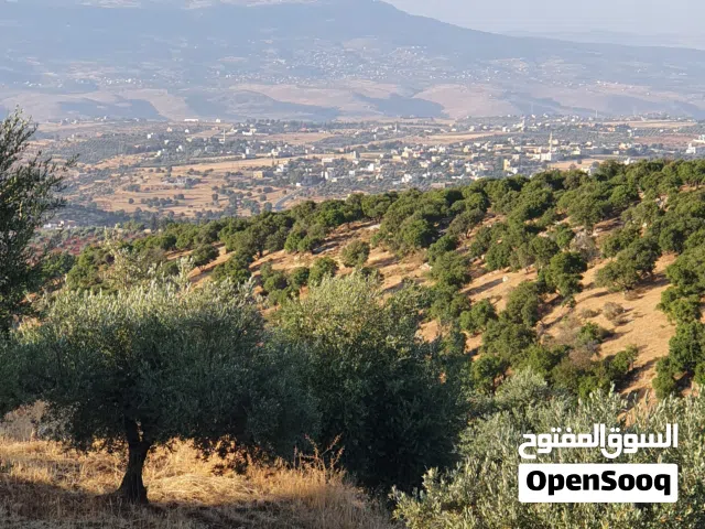 Farm Land for Sale in Salt Other