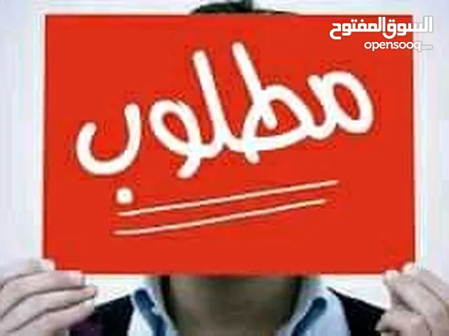 مطلوب كوبية استورالي