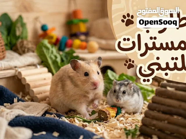 مطلوب هامسترات