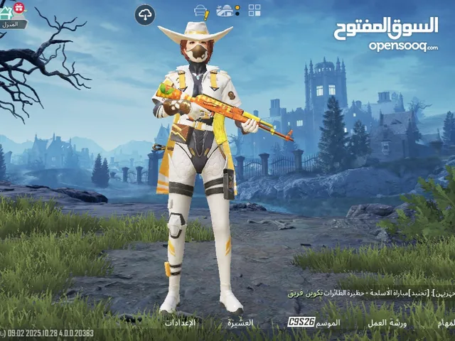 Pubg Accounts and Characters for Sale in Damascus