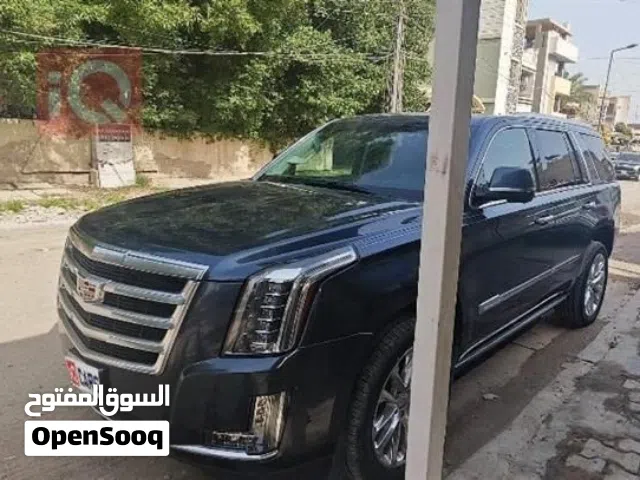 2019 كاديلاك اسكاليد Premium