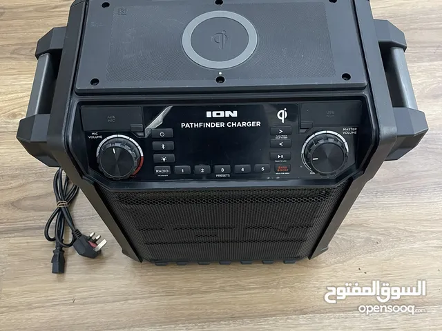 Ion pathfinder charger
