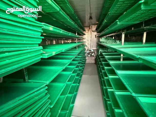 حاوية تبريد لزراعة شعير مستنبت