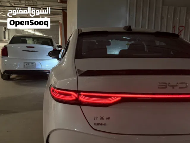2025 بي واي دي كين