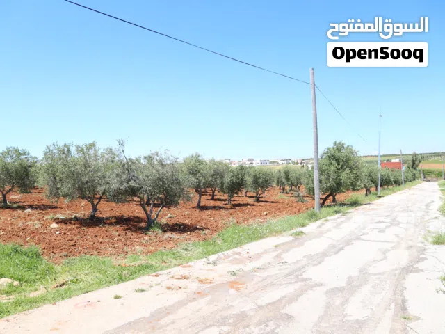 مادبا الفيحاء حوض الجازل 4000م  الدونم بجانب التنظيم ارض زراعية سكنية مميزة بمنطقة فلل
