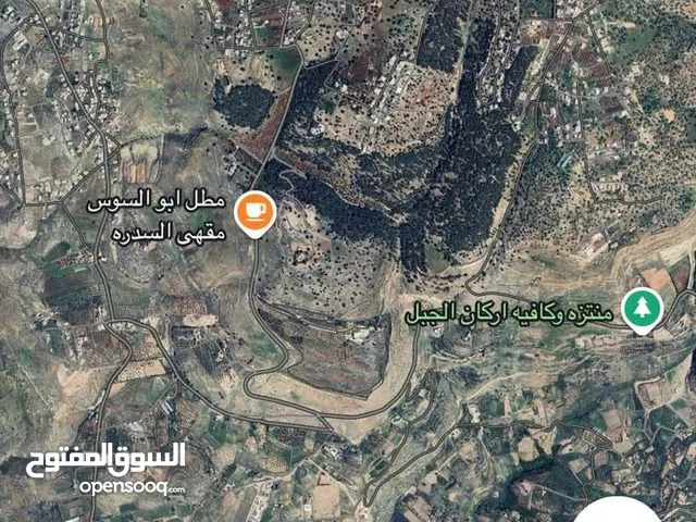 قطعة ارض مميزة سكن ج بإطلالة بانورامية على الغرب من المالك مباشرة