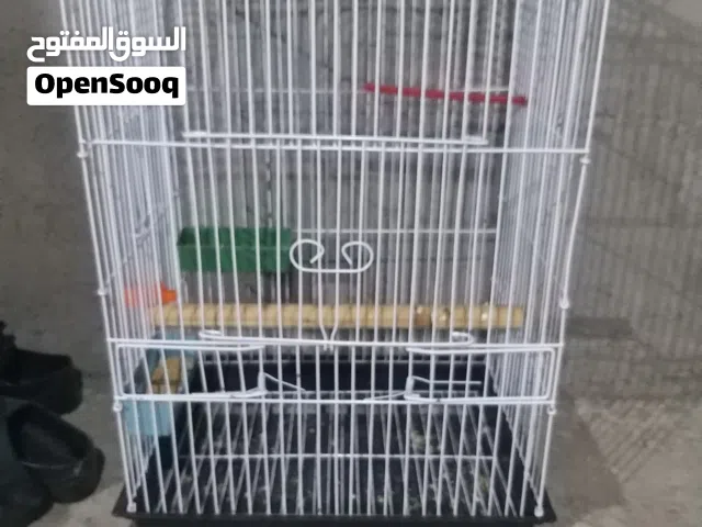 قفص ببغاء استعمال نضيف جدا
