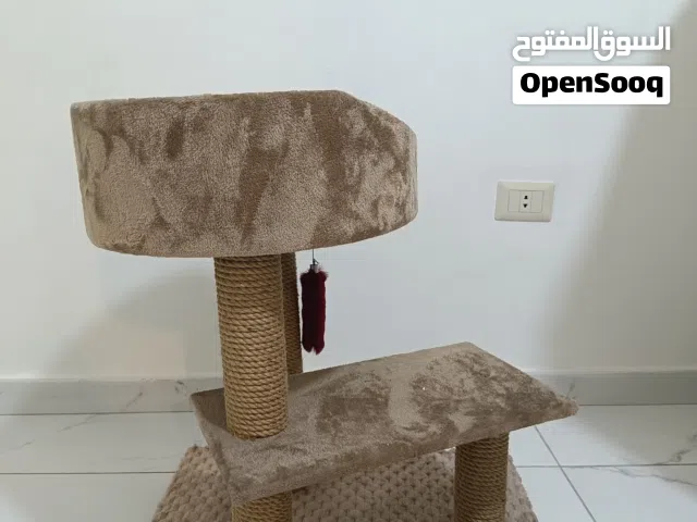 عمود خدش قطط