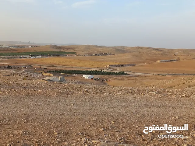 Residential Land for Sale in Zarqa Al Hashemieh