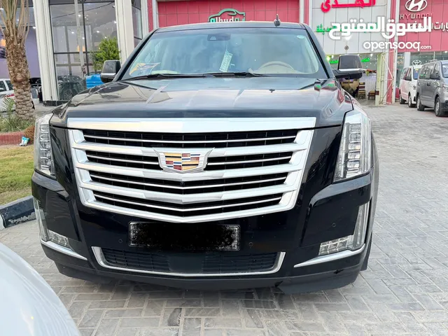 New Cadillac Escalade in Erbil