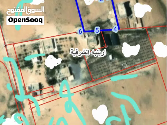 Farm Land for Sale in Amman Areinba Al Sharqiyah