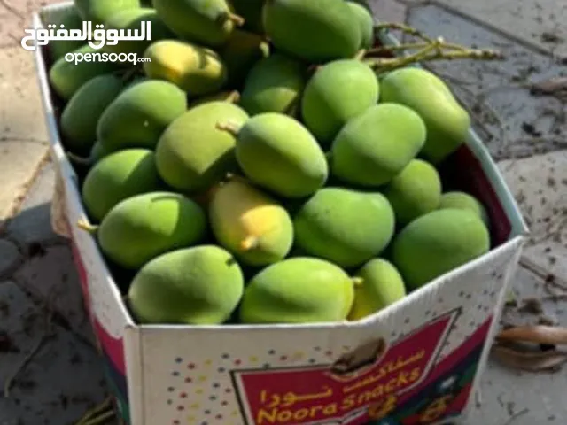 حدال للبيع طازج أقرأ الوصف بالاسفل