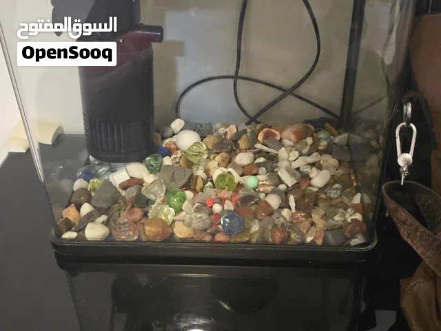 حوض سمك مجهز باضاءة مع الفلتر