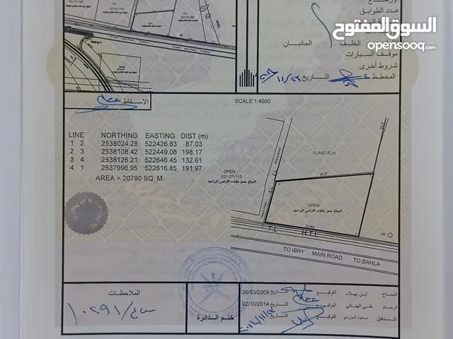 بهلاء - طوى النص