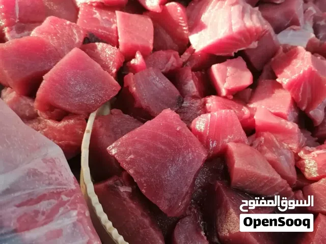 جيذر لحم صافي بدون عظم او جلد  في محل الرتال لبيع وشوي الأسماك الطازجه