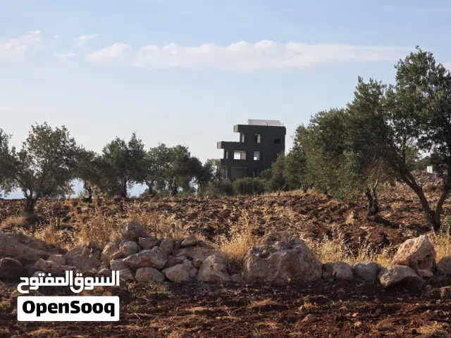 Mixed Use Land for Sale in Ajloun Other