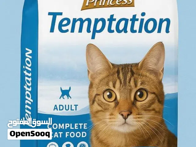 Cat Foot  sohar sallan