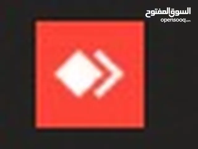 مطلوب ببغاء ساسكو للتبنى مجانا